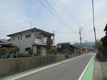 現地写真